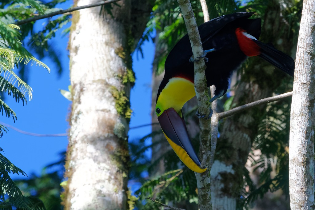 DSC_6665_DxO.JPG