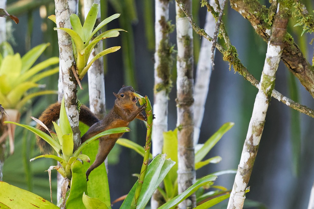 DSC_6649_DxO.JPG