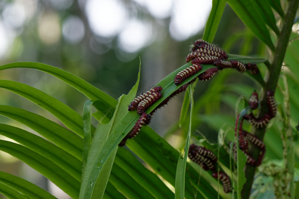 DSC_1890_DxO.JPG