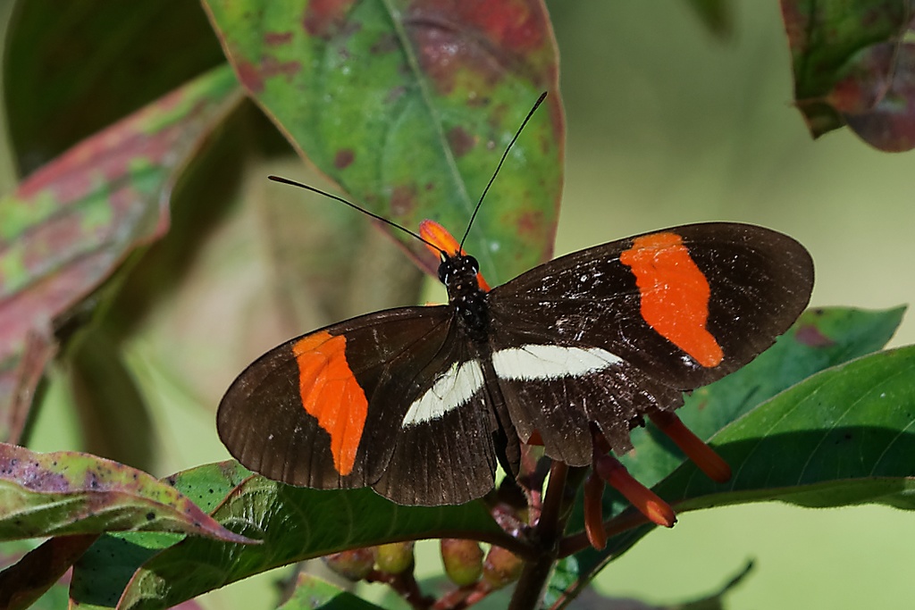 DSC_6695_DxO.JPG