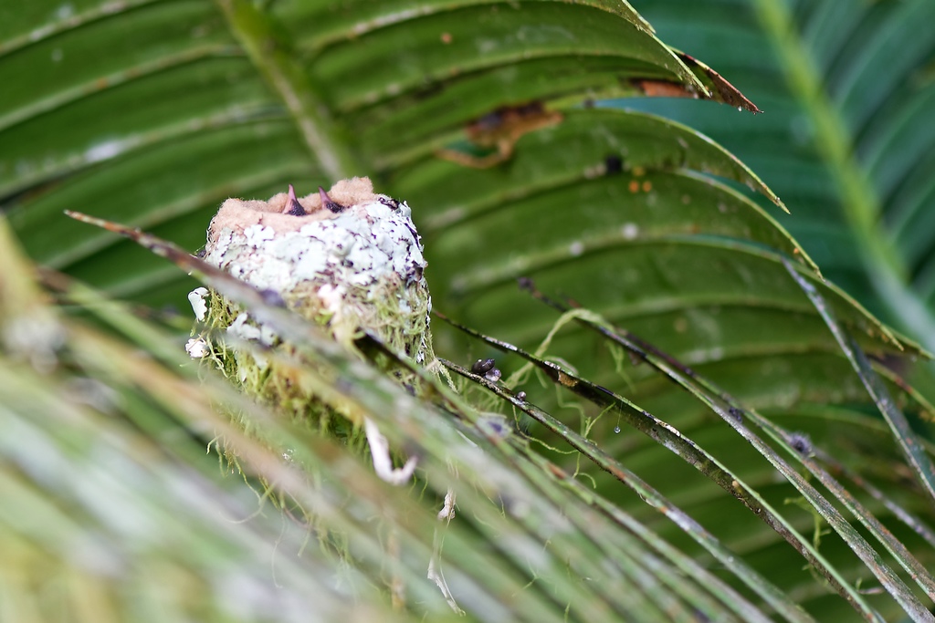 DSC_1897_DxO.JPG