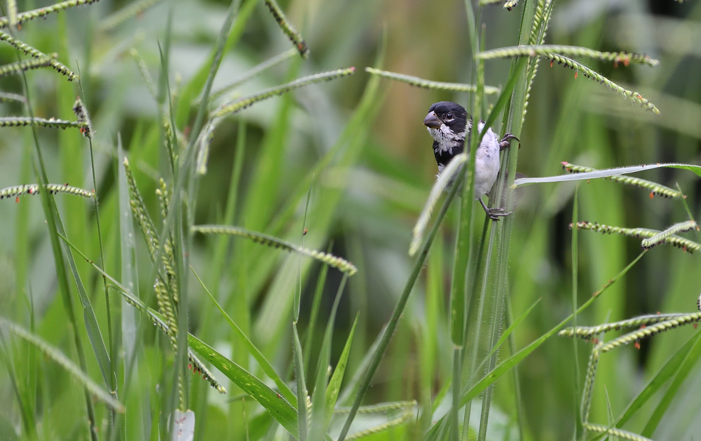 DS5_4187.jpg