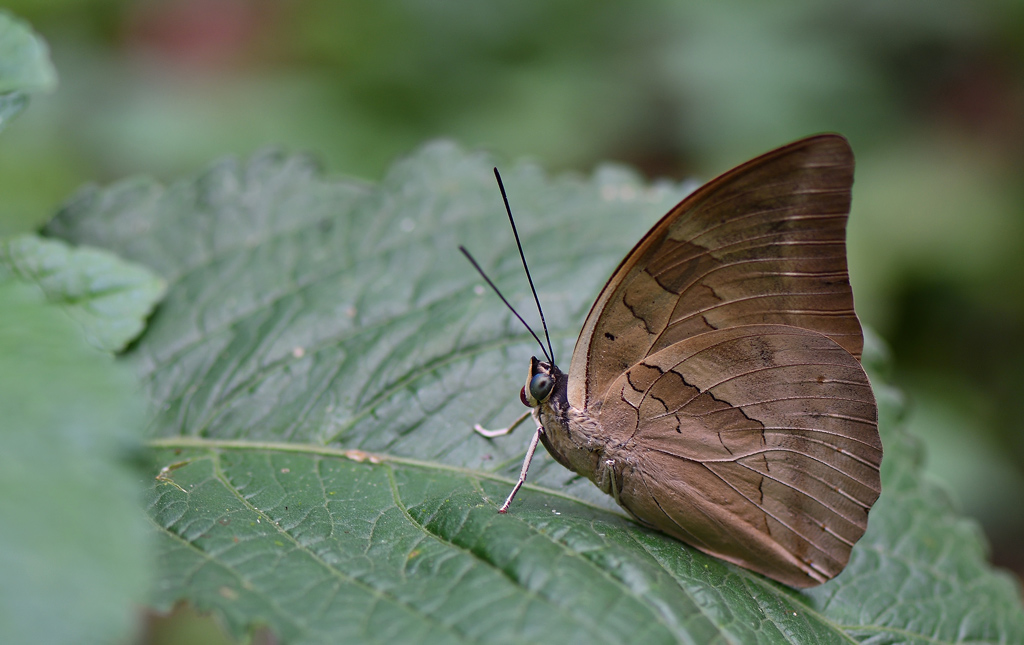 DSC_3673.jpg