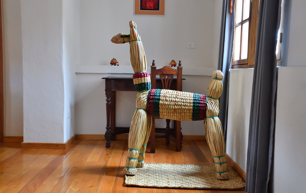 DS5_3736.jpg