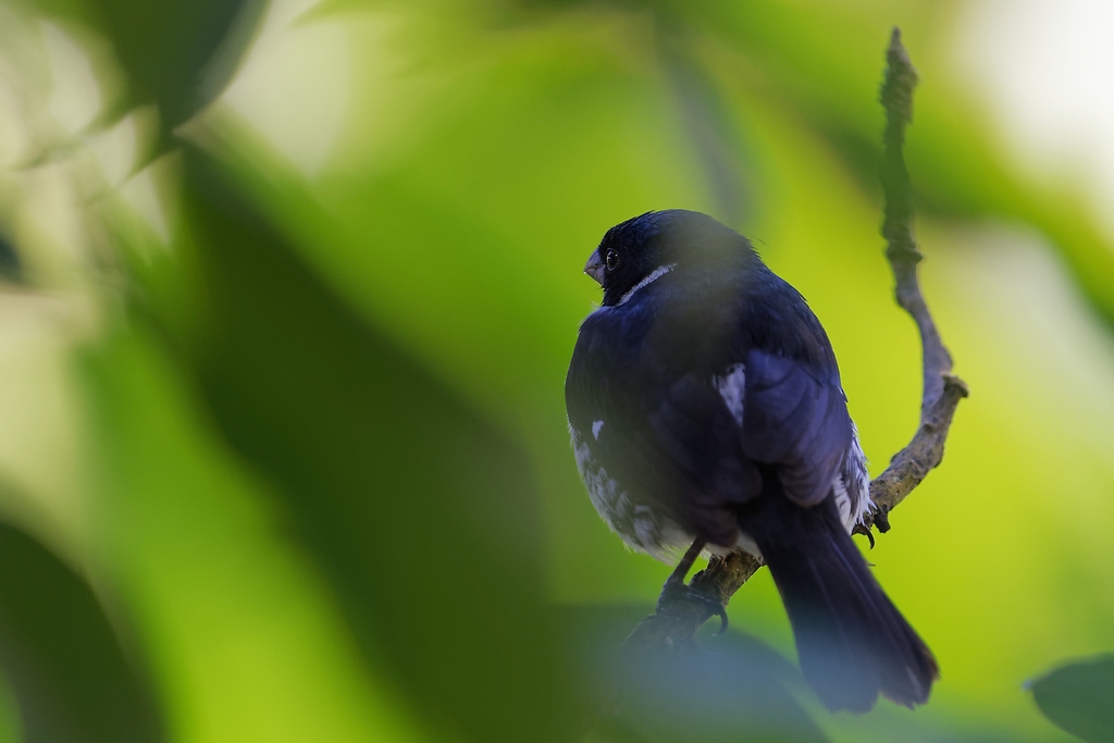 DSC_6718_DxO.JPG