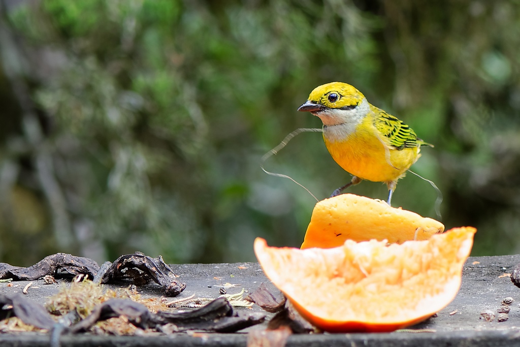 DSC_1928_DxO.JPG