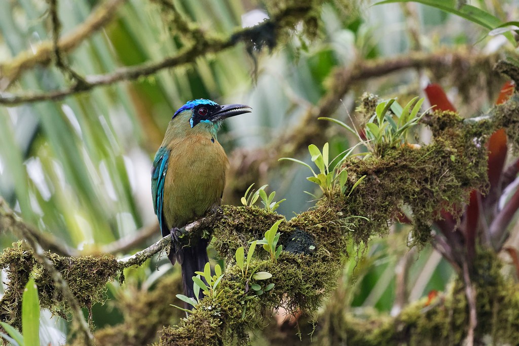 DSC_6793_DxO.JPG