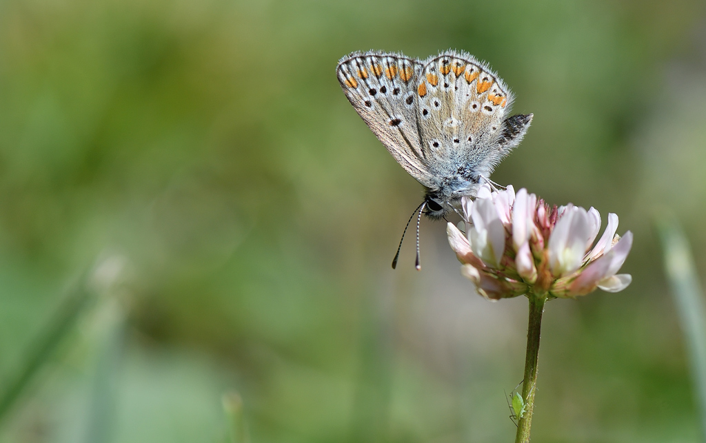 DS5_9049.jpg