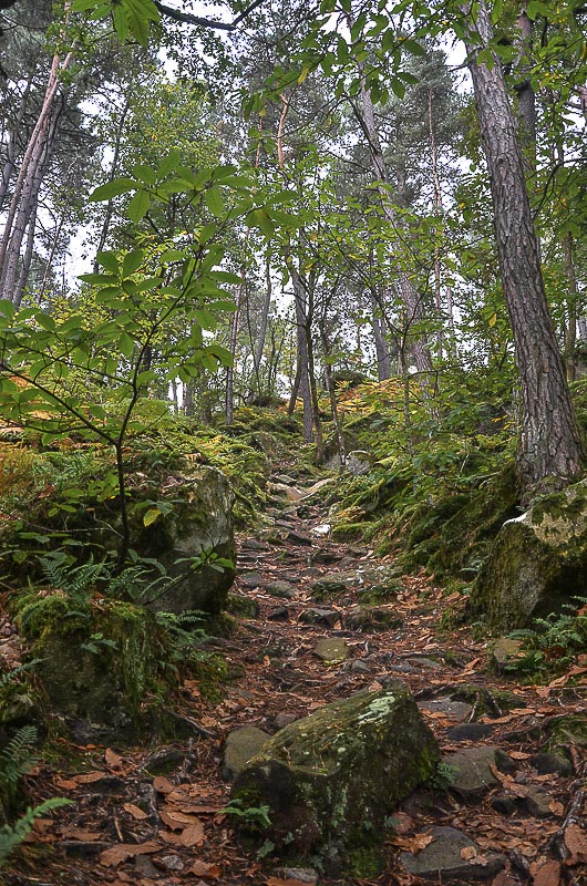 Bleau 12.10.2019.jpg