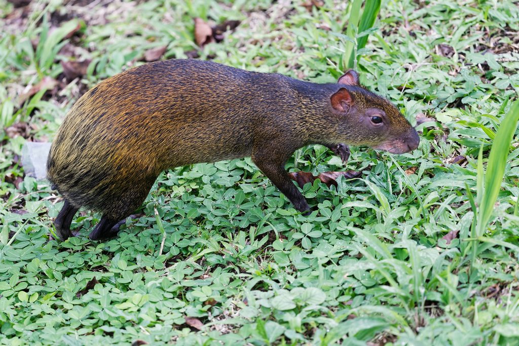 DSC_6825_DxO.JPG