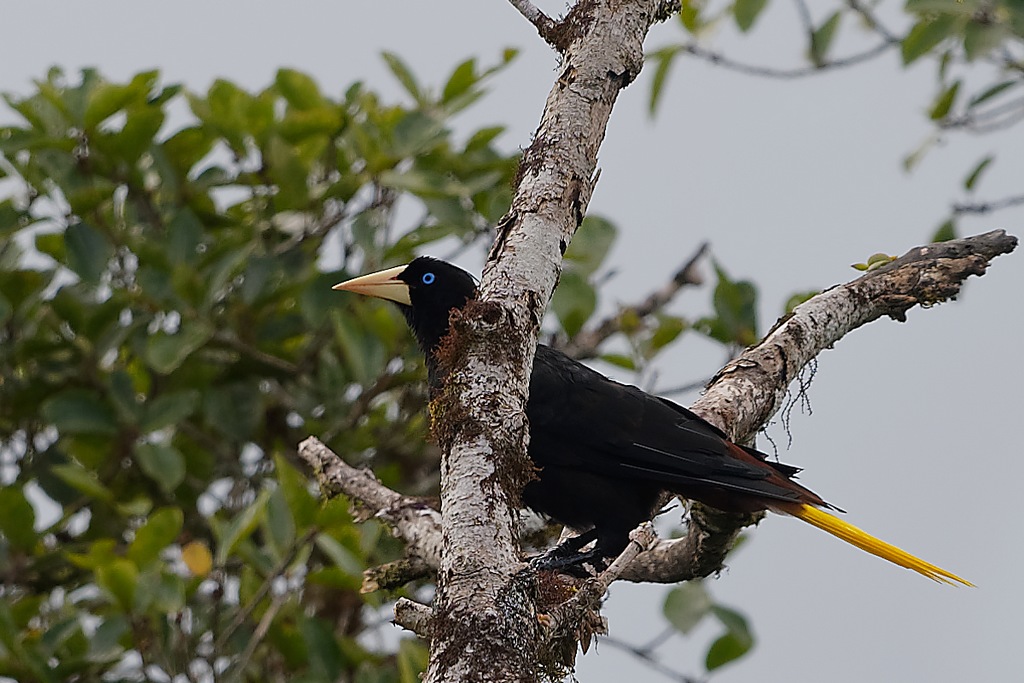 DSC_6861_DxO.JPG