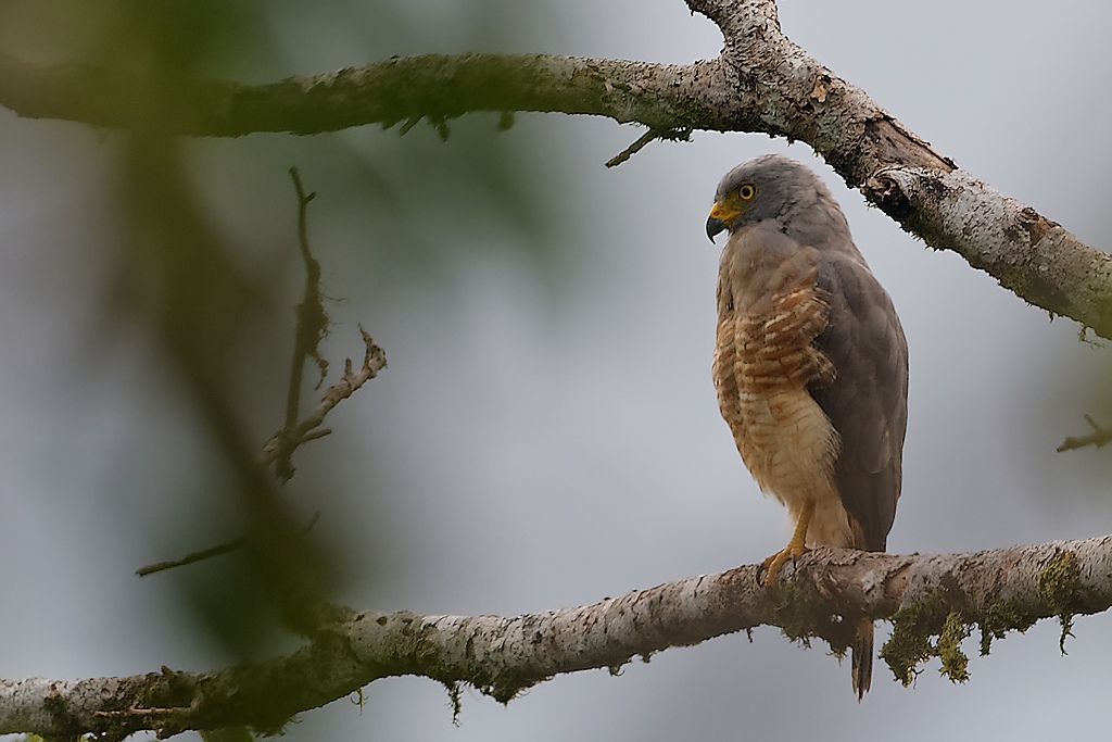 DSC_6889_DxO.JPG