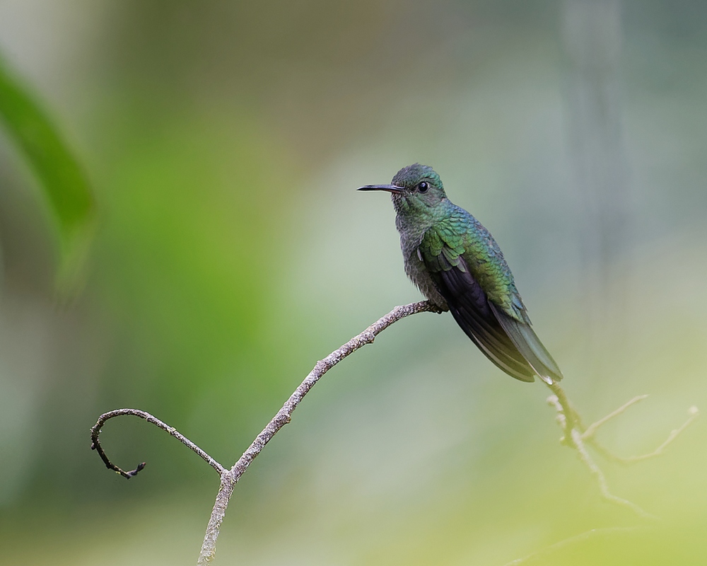 DSC_6899_DxO-3.JPG