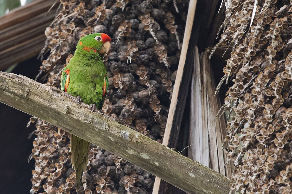 DSC_6922_DxO.JPG