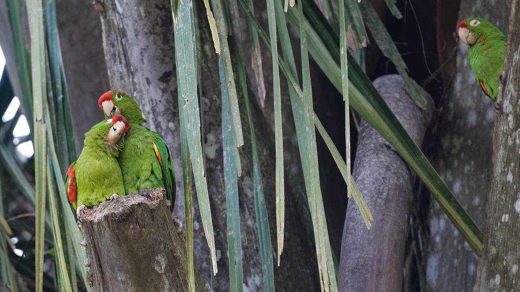 DSC_6929_DxO.JPG