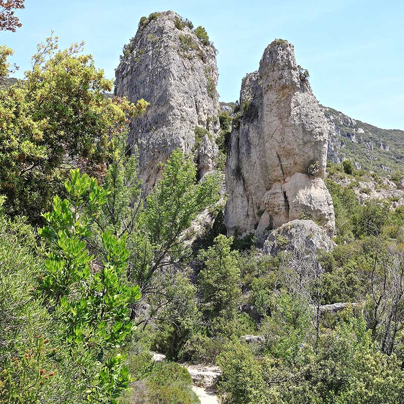 IMG_9951 copie.jpg