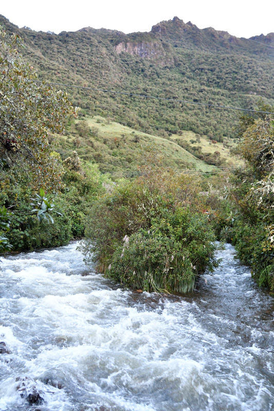 DSC_4335.jpg