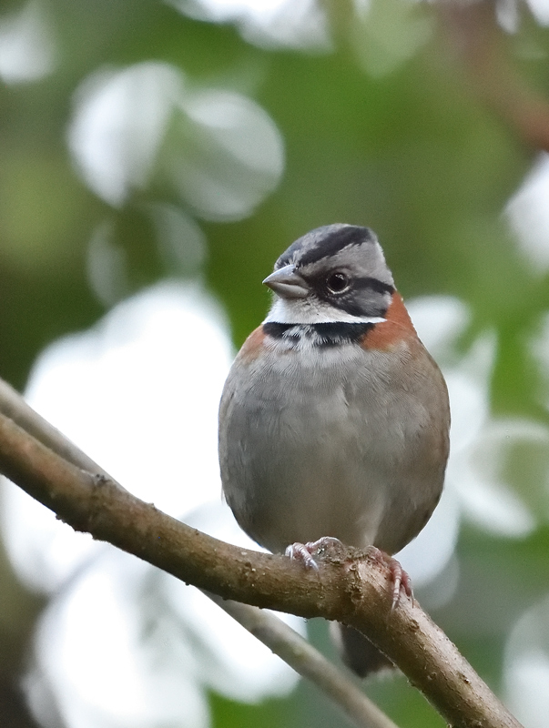 DS5_4656.jpg