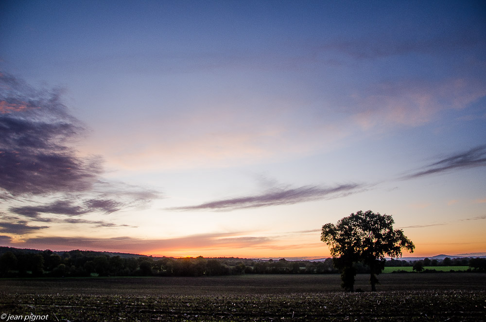 paysage billebeaude 10 2019.jpg
