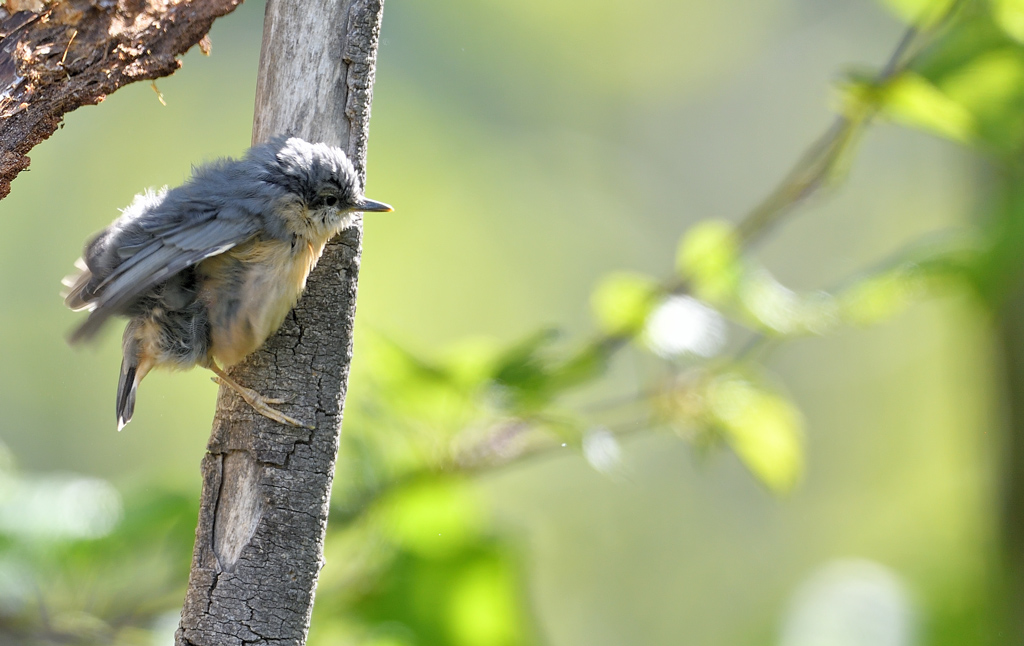 DS5_2983.jpg