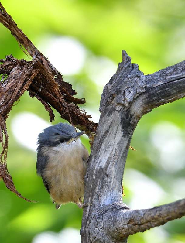 DS5_2985.jpg