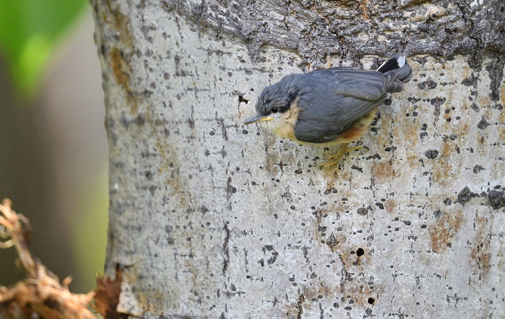 DS5_3003.jpg