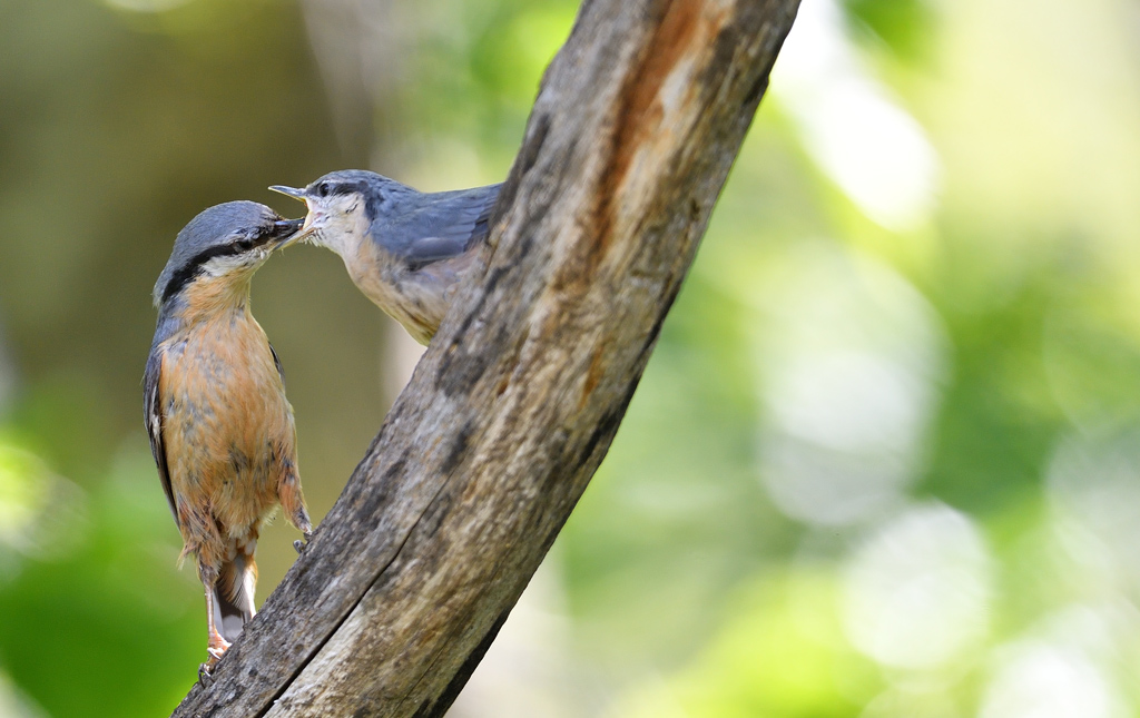 DS5_2798.jpg