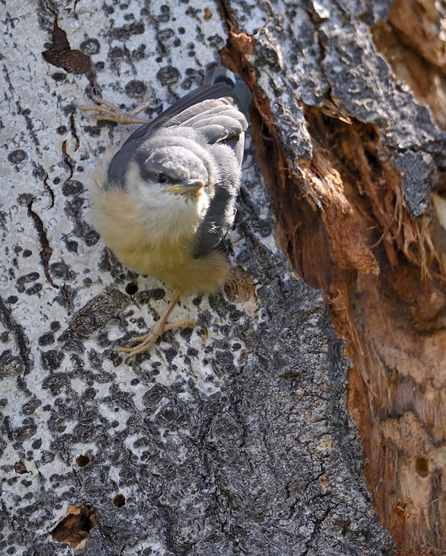 DS5_2953.jpg