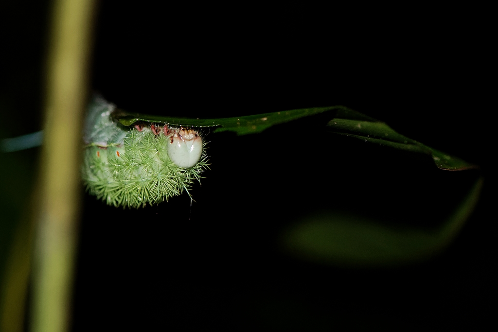 DSC_1968_DxO.JPG