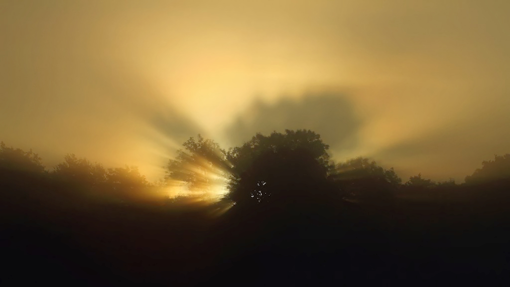 0139_DxO.jpg