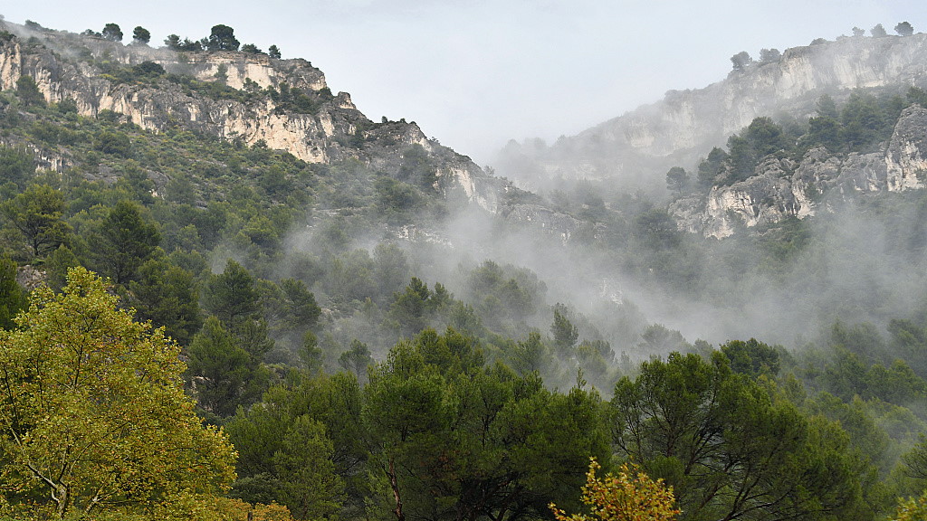 DSC_5126.JPGin.jpg