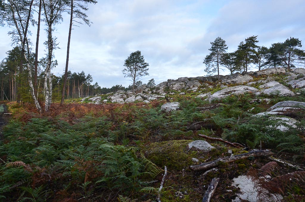 Bleau 25.10.19-3.jpg