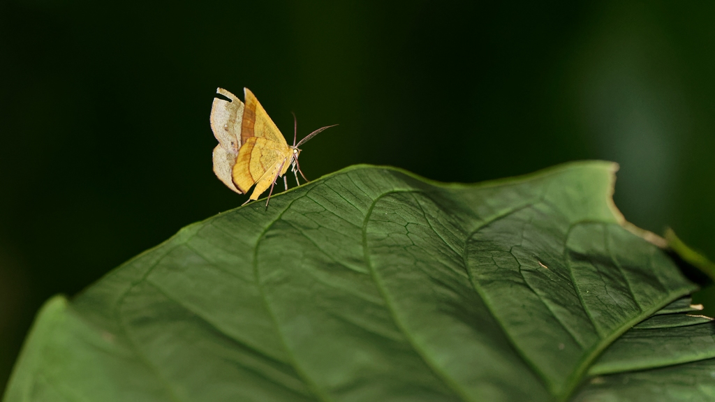 DSC_2073_DxO.JPG