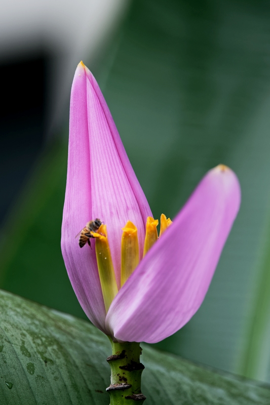 DSC_6938_DxO.JPG