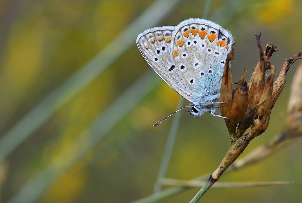 DS5_0887.jpg