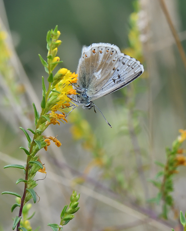 DS5_0924.jpg