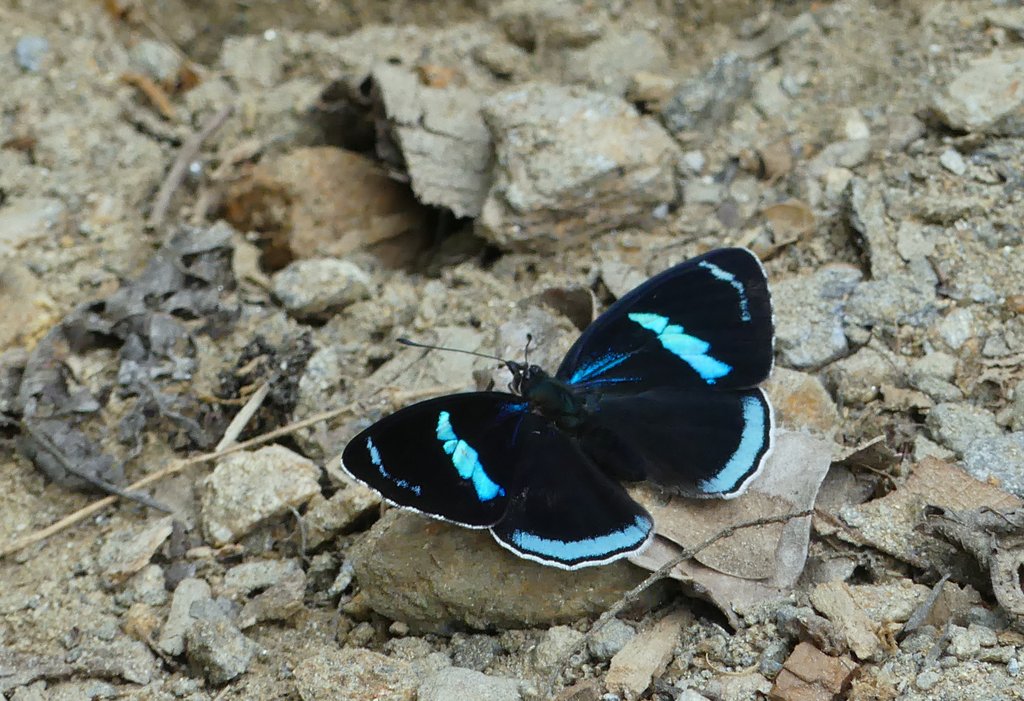 P1040350.JPG