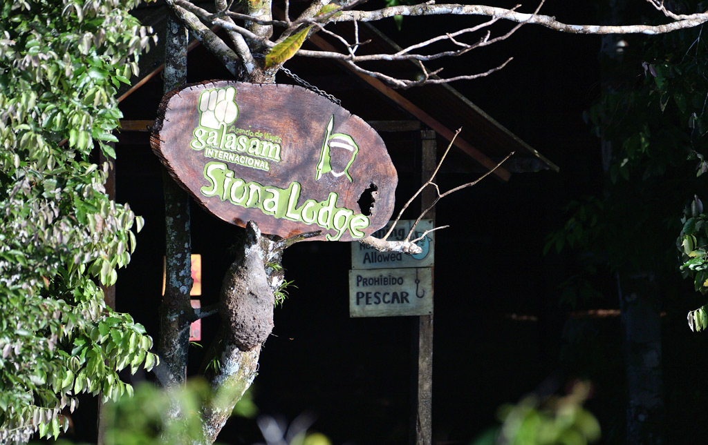 DS5_5379.jpg
