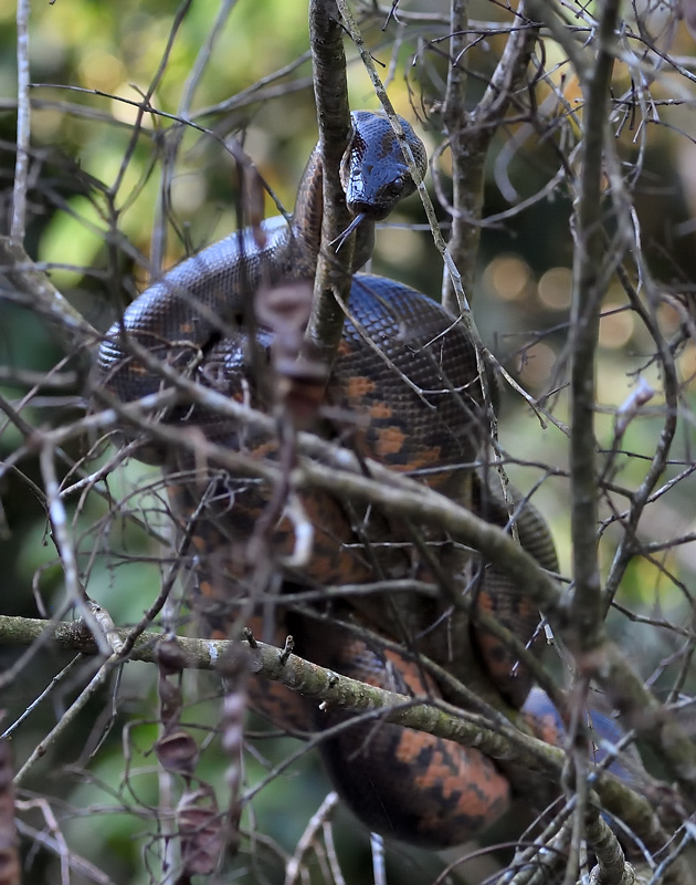 DS5_5192.jpg