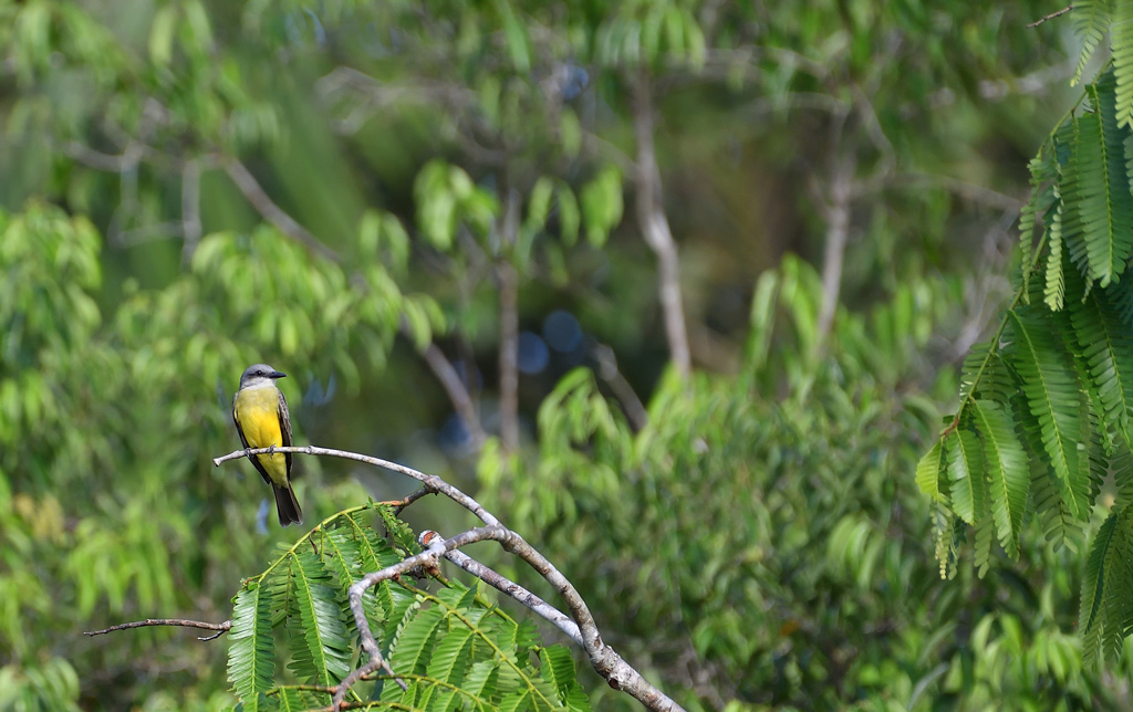 DS5_4708.jpg