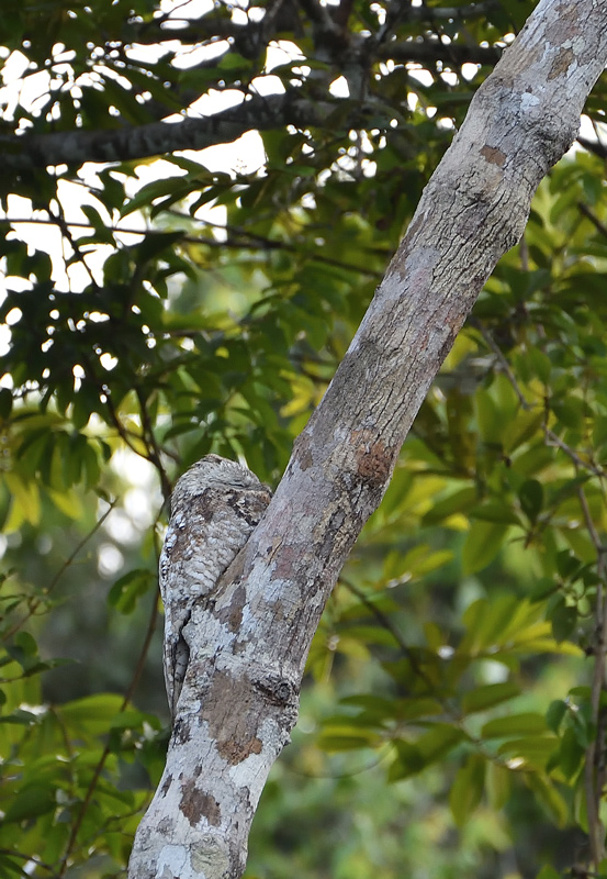 DS5_4748.jpg