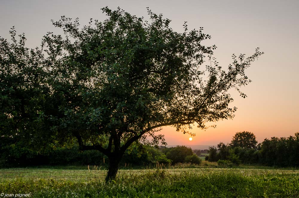 couché de soleil billebeaude 06 2019.JPG