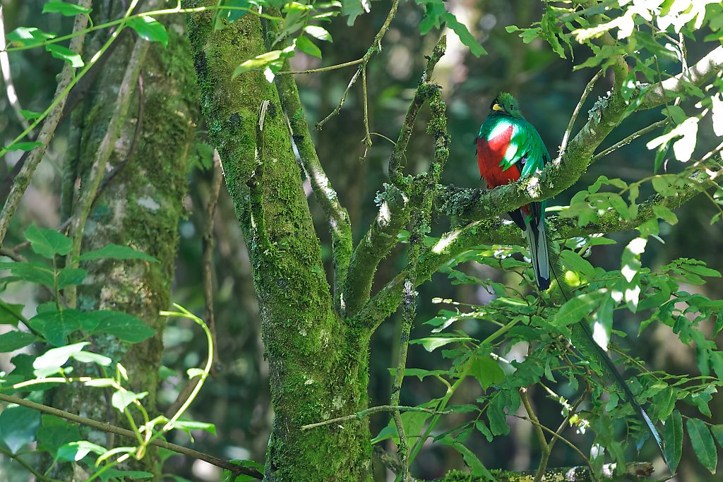 DSC_7085_DxO.jpg
