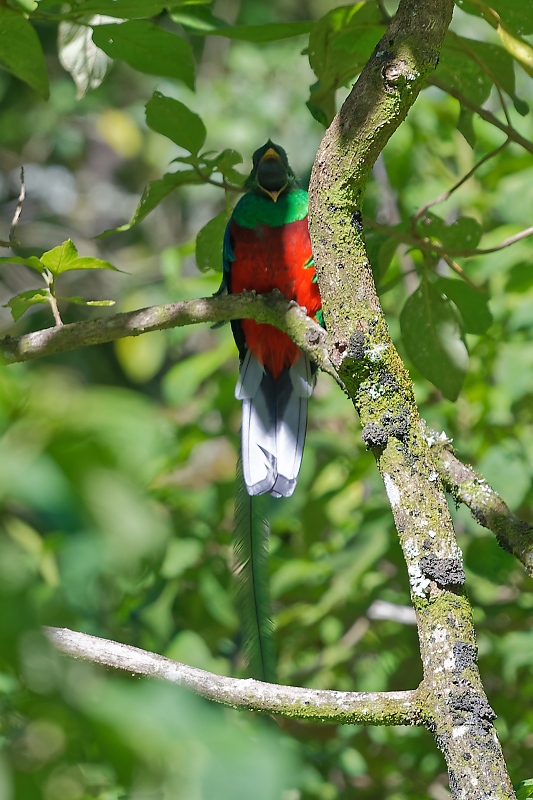 DSC_7110_DxO.jpg
