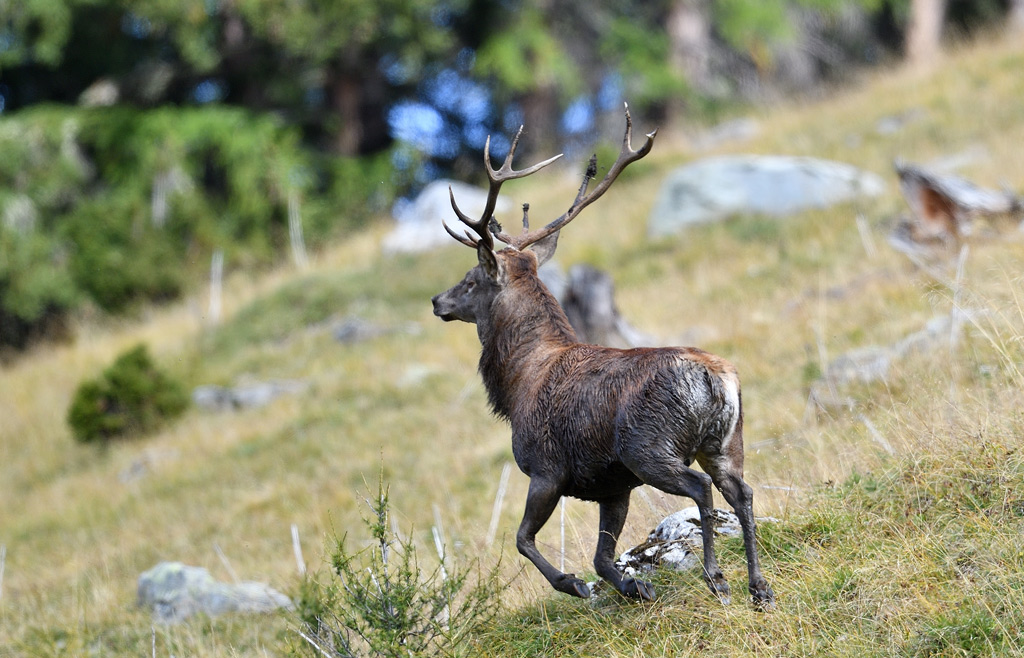 DS5_1809.jpg