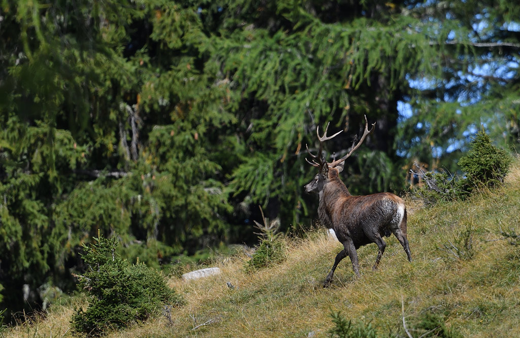 DS5_1820.jpg