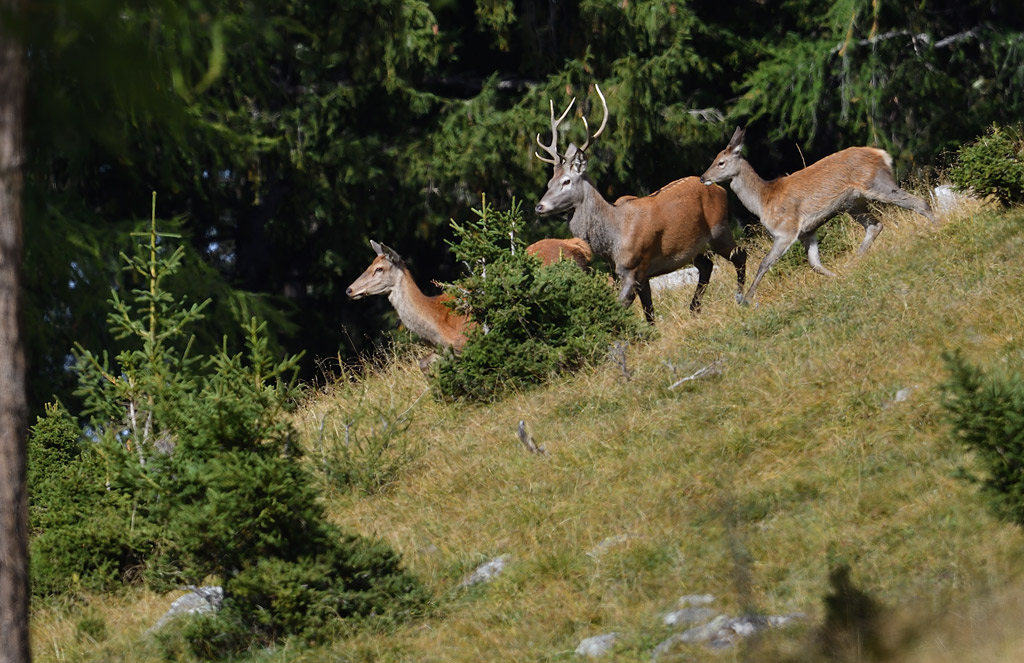 DS5_1827.jpg