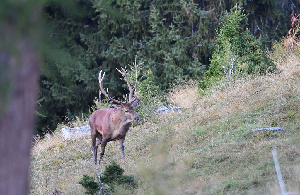 DS5_1836.jpg