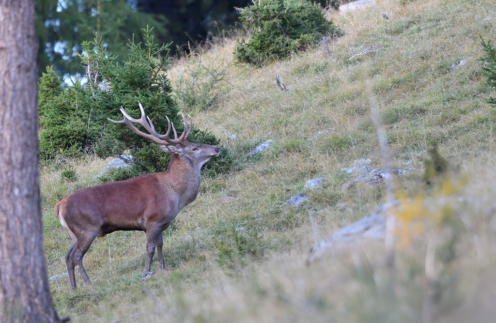 DS5_1842.jpg