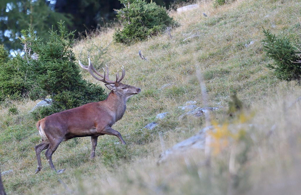 DS5_1843.jpg